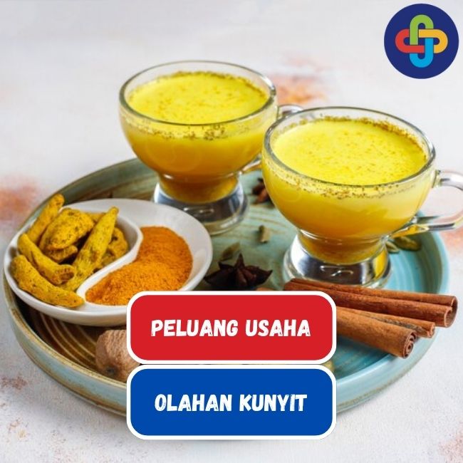 Tambah Pundi Rupiah Dengan 7 Ide Bisnis Olahan Kunyit